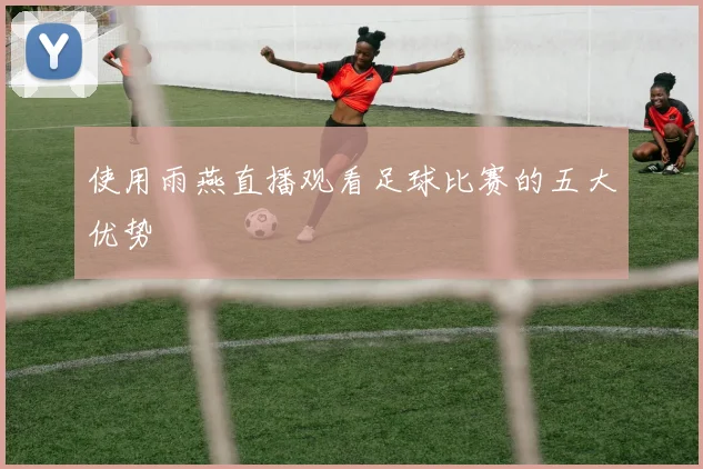 使用雨燕直播观看足球比赛的五大优势