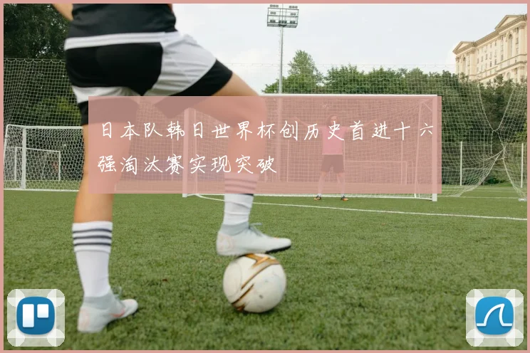 日本队韩日世界杯创历史首进十六强淘汰赛实现突破