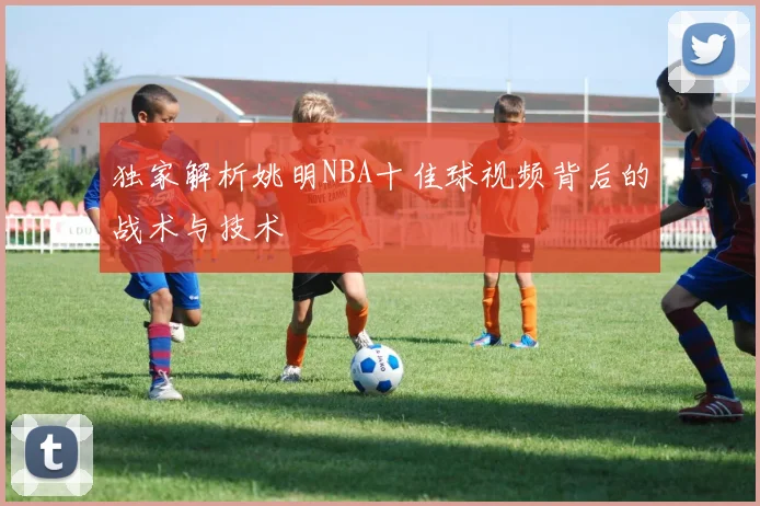 独家解析姚明NBA十佳球视频背后的战术与技术