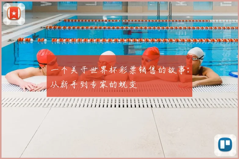 一个关于世界杯彩票销售的故事:从新手到专家的蜕变