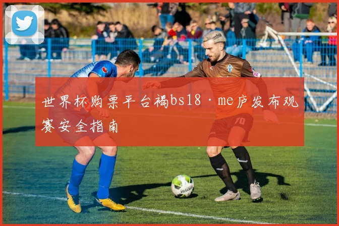 世界杯购票平台褐bs18·me庐发布观赛安全指南