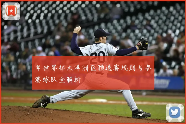 年世界杯大洋洲区预选赛规则与参赛球队全解析