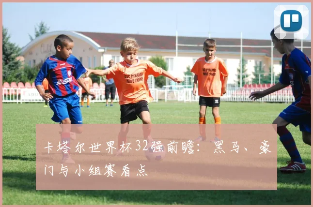 卡塔尔世界杯32强前瞻：黑马、豪门与小组赛看点