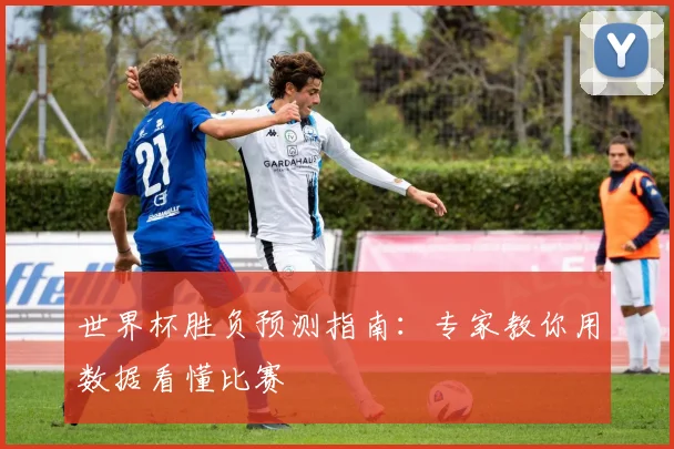世界杯胜负预测指南:专家教你用数据看懂比赛