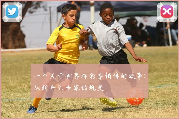 一个关于世界杯彩票销售的故事:从新手到专家的蜕变