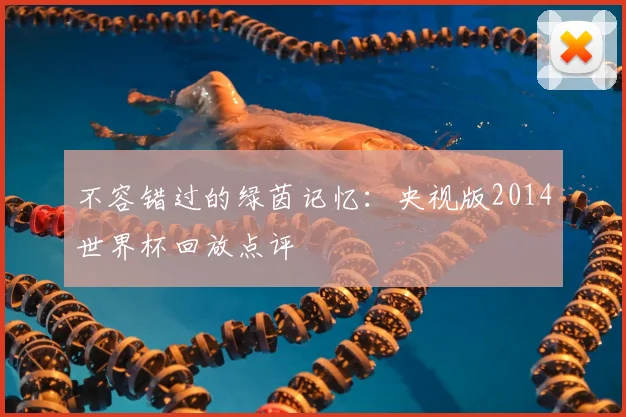 不容错过的绿茵记忆：央视版2014世界杯回放点评