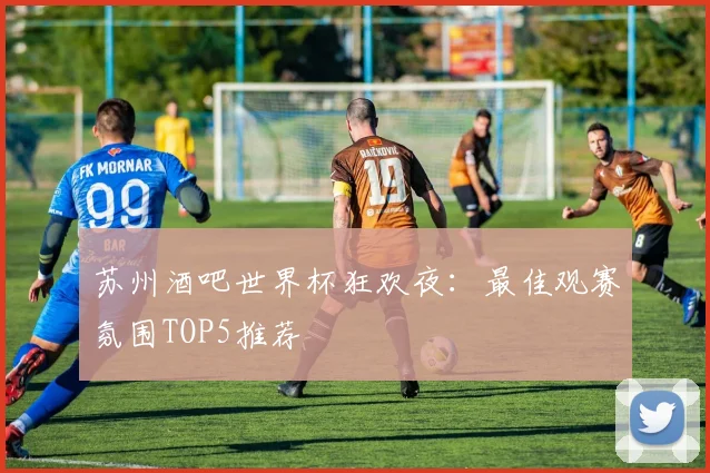 苏州酒吧世界杯狂欢夜：最佳观赛氛围TOP5推荐