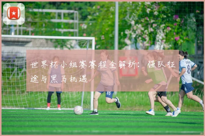 世界杯小组赛赛程全解析：强队征途与黑马机遇